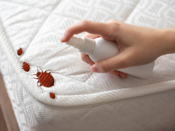 Pest Control Cost in Enfield, NC